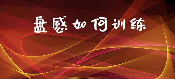盘感如何训练_https://wap.fcdydaikuan.com_投资策略_第1张