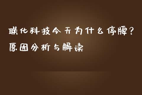 联化科技今天为什么停牌？原因分析与解读_https://wap.fcdydaikuan.com_期货品种_第1张