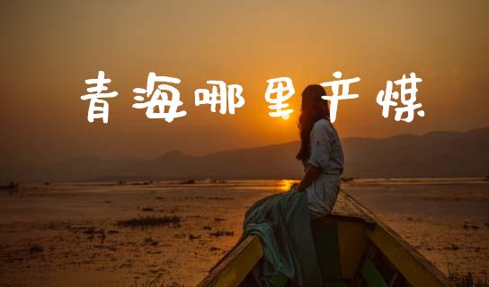 青海哪里产煤_https://wap.fcdydaikuan.com_投资策略_第1张