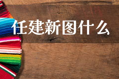 任建新图什么_https://wap.fcdydaikuan.com_新股数据_第1张
