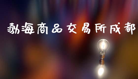 渤海商品交易所成都_https://wap.fcdydaikuan.com_理财顾问_第1张