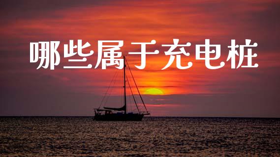 哪些属于充电桩_https://wap.fcdydaikuan.com_新股数据_第1张