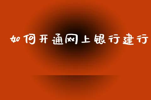 如何开通网上银行建行_https://wap.fcdydaikuan.com_新股数据_第1张