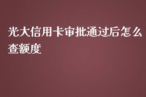 光大信用卡审批通过后怎么查额度_https://wap.fcdydaikuan.com_金融机构_第1张