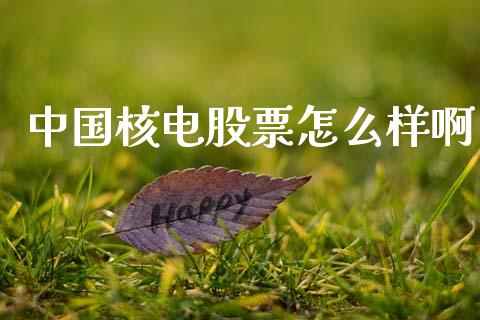 中国核电股票怎么样啊_https://wap.fcdydaikuan.com_新股数据_第1张