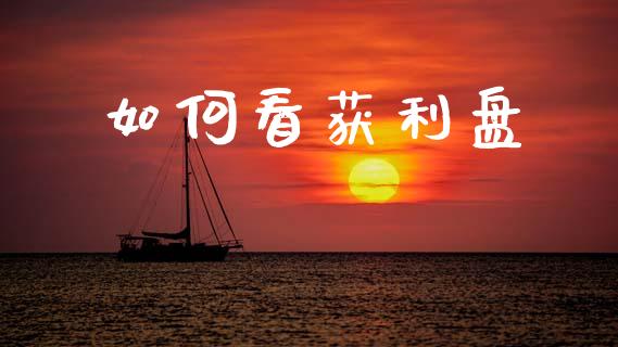 如何看获利盘_https://wap.fcdydaikuan.com_国际投资_第1张