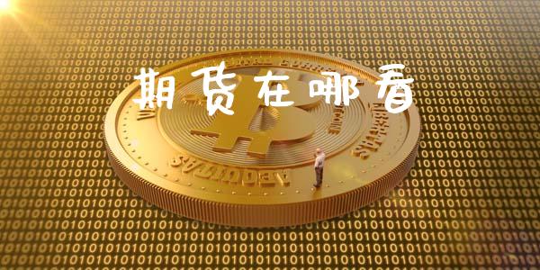 期货在哪看_https://wap.fcdydaikuan.com_投资策略_第1张