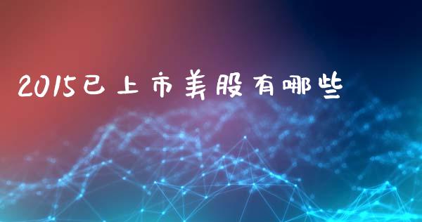 2015已上市美股有哪些_https://wap.fcdydaikuan.com_金融机构_第1张