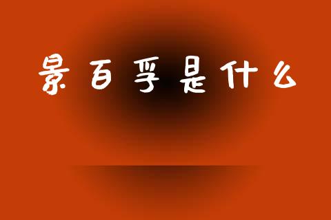 景百孚是什么_https://wap.fcdydaikuan.com_理财顾问_第1张