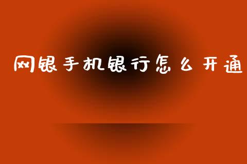 网银手机银行怎么开通_https://wap.fcdydaikuan.com_理财顾问_第1张
