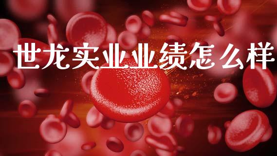 世龙实业业绩怎么样_https://wap.fcdydaikuan.com_金融机构_第1张