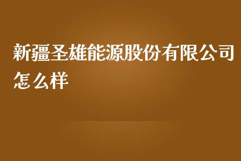 新疆圣雄能源股份有限公司怎么样_https://wap.fcdydaikuan.com_国际投资_第1张