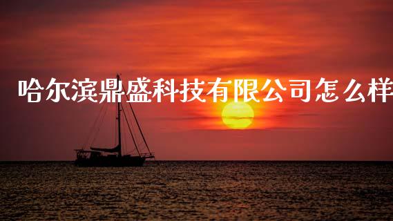 哈尔滨鼎盛科技有限公司怎么样_https://wap.fcdydaikuan.com_金融机构_第1张