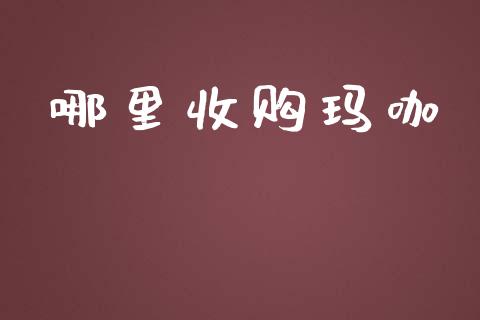 哪里收购玛咖_https://wap.fcdydaikuan.com_理财顾问_第1张