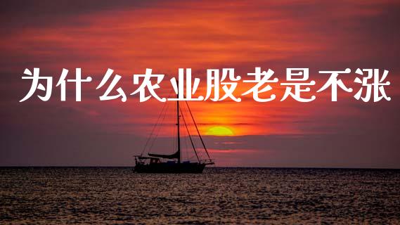 为什么农业股老是不涨_https://wap.fcdydaikuan.com_国际投资_第1张