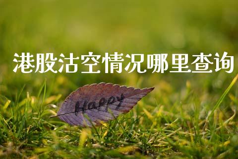 港股沽空情况哪里查询_https://wap.fcdydaikuan.com_金融机构_第1张