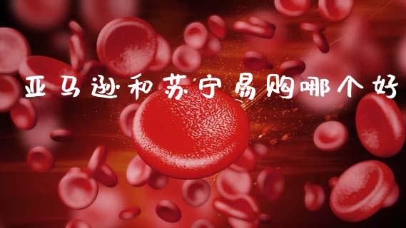 亚马逊和苏宁易购哪个好_国际投资_第1张_国际投资_理财顾问_投资策略_金融机构 亚马逊和苏宁易购哪个好_https://wap.fcdydaikuan.com_国际投资_第1张