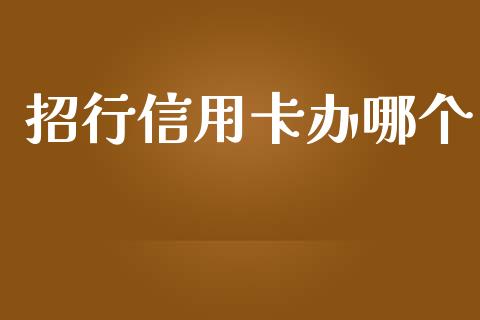 招行信用卡办哪个_https://wap.fcdydaikuan.com_理财顾问_第1张