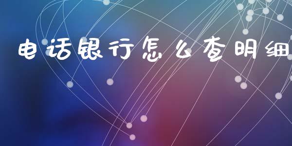 电话银行怎么查明细_https://wap.fcdydaikuan.com_投资策略_第1张