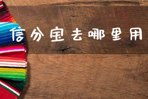信分宝去哪里用_https://wap.fcdydaikuan.com_理财顾问_第1张