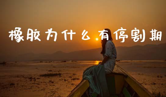 橡胶为什么有停割期_https://wap.fcdydaikuan.com_国际投资_第1张
