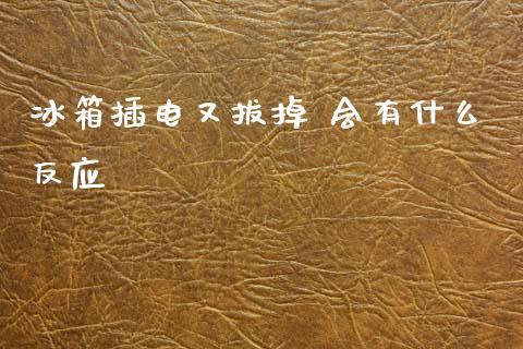 冰箱插电又拔掉 会有什么反应_https://wap.fcdydaikuan.com_金融机构_第1张