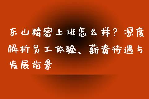东山精密上班怎么样？深度解析员工体验、薪资待遇与发展前景_https://wap.fcdydaikuan.com_国际投资_第1张