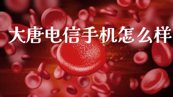 大唐电信手机怎么样_https://wap.fcdydaikuan.com_理财顾问_第1张