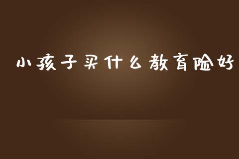 小孩子买什么教育险好_https://wap.fcdydaikuan.com_金融机构_第1张