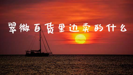 翠微百货里边卖的什么_https://wap.fcdydaikuan.com_理财顾问_第1张