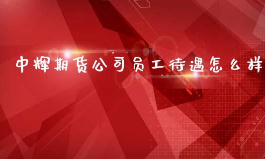 中辉期货公司员工待遇怎么样_https://wap.fcdydaikuan.com_期货品种_第1张