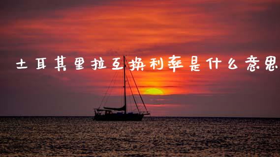 土耳其里拉互换利率是什么意思_https://wap.fcdydaikuan.com_投资策略_第1张