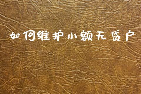 如何维护小额无贷户_https://wap.fcdydaikuan.com_投资策略_第1张
