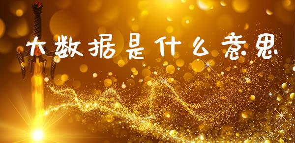 大数据是什么意思_https://wap.fcdydaikuan.com_国际投资_第1张