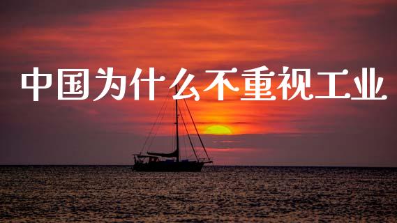 中国为什么不重视工业_https://wap.fcdydaikuan.com_新股数据_第1张