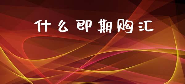 什么即期购汇_https://wap.fcdydaikuan.com_国际投资_第1张