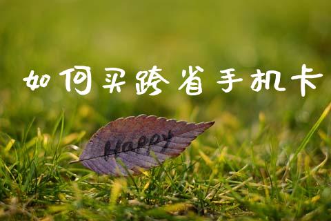 如何买跨省手机卡_https://wap.fcdydaikuan.com_新股数据_第1张