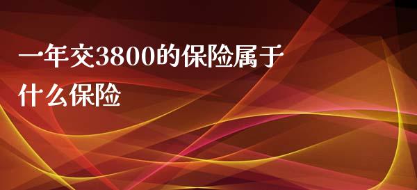 一年交3800的保险属于什么保险_https://wap.fcdydaikuan.com_国际投资_第1张
