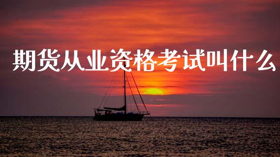 期货从业资格考试叫什么_https://wap.fcdydaikuan.com_投资策略_第1张