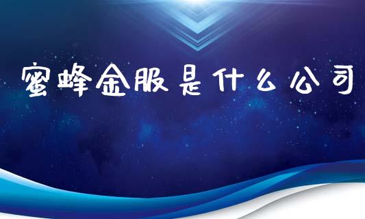 蜜蜂金服是什么公司_https://wap.fcdydaikuan.com_金融机构_第1张