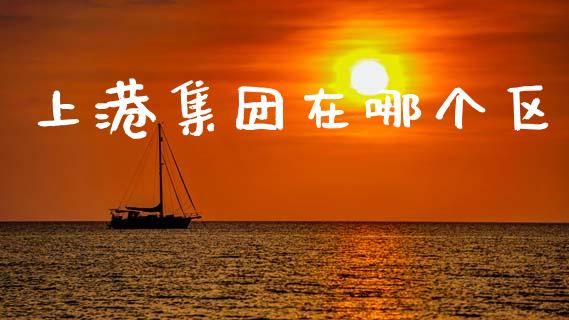 上港集团在哪个区_https://wap.fcdydaikuan.com_国际投资_第1张