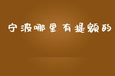 宁波哪里有提额的_https://wap.fcdydaikuan.com_金融机构_第1张