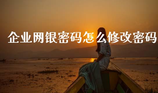 企业网银密码怎么修改密码_https://wap.fcdydaikuan.com_国际投资_第1张