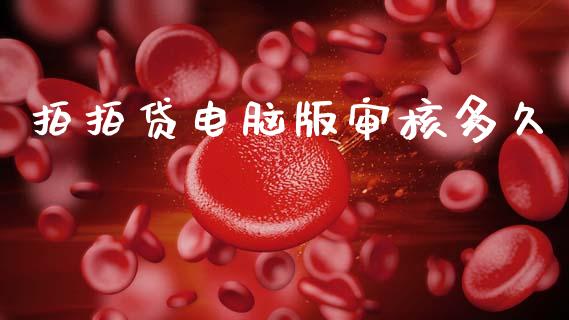 拍拍贷电脑版审核多久_https://wap.fcdydaikuan.com_金融机构_第1张
