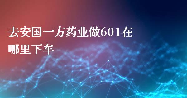 去安国一方药业做601在哪里下车_https://wap.fcdydaikuan.com_期货品种_第1张