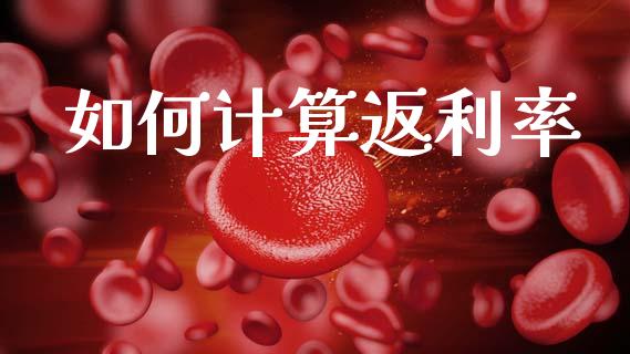 如何计算返利率_https://wap.fcdydaikuan.com_国际投资_第1张