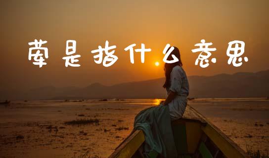 荤是指什么意思_https://wap.fcdydaikuan.com_新股数据_第1张