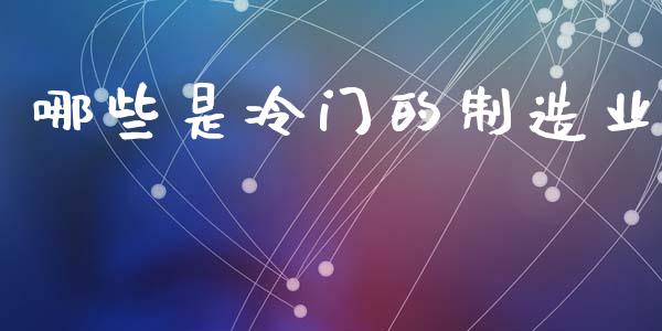 哪些是冷门的制造业_https://wap.fcdydaikuan.com_金融机构_第1张