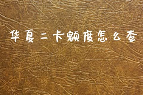 华夏二卡额度怎么查_https://wap.fcdydaikuan.com_金融机构_第1张