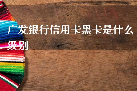广发银行信用卡黑卡是什么级别_https://wap.fcdydaikuan.com_期货品种_第1张